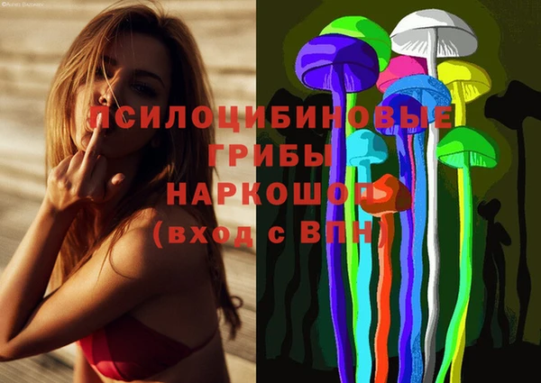 каннабис Покачи