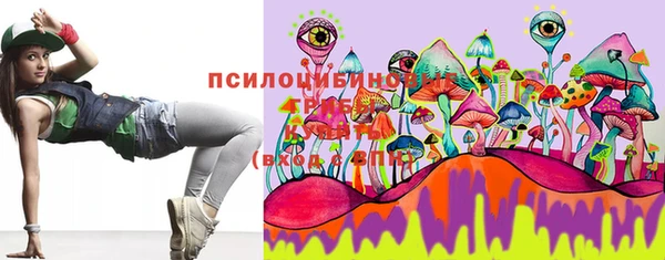 скорость Пересвет