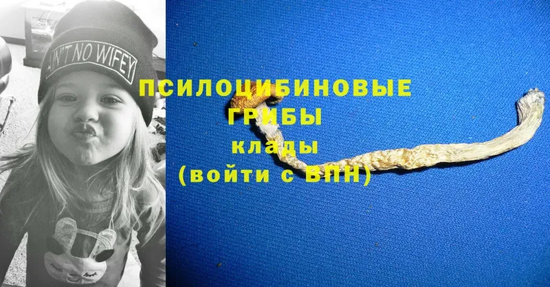 Псилоцибиновые грибы GOLDEN TEACHER  как найти наркотики  Балашов 