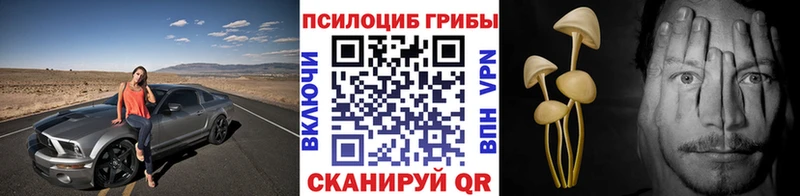 Галлюциногенные грибы GOLDEN TEACHER  Балашов 