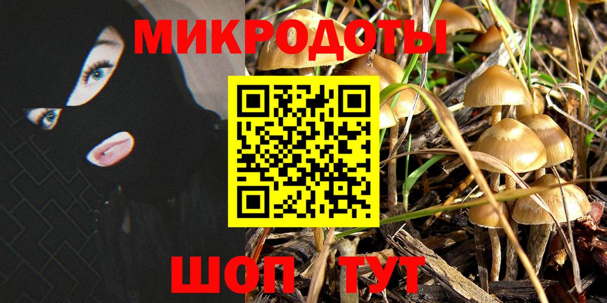 Галлюциногенные грибы Cubensis Балашов