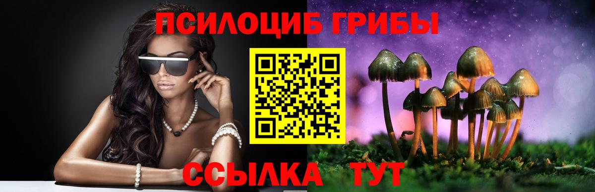 Галлюциногенные грибы прущие грибы Балашов