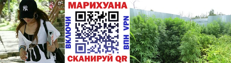 Каннабис гибрид  Балашов 