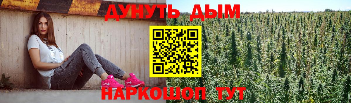 Бошки марихуана THC 21%  Конопля план  Балашов  Вход с VPN 